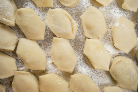 Handmade dumplings are beautifully arranged in rows on a cutting board and sprinkled with flour. Delicious homemade food and preparations. Close-up, macro.の写真素材