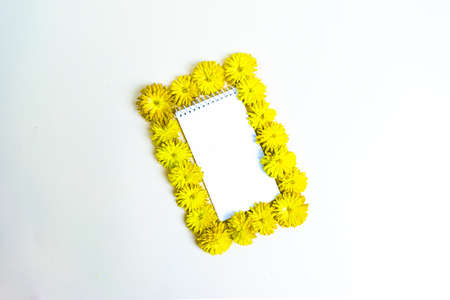 White notebook for notes framed by heads of fresh yellow chrysanthemum flowers. White floral autumn background. Copy space. Flat lay.の写真素材
