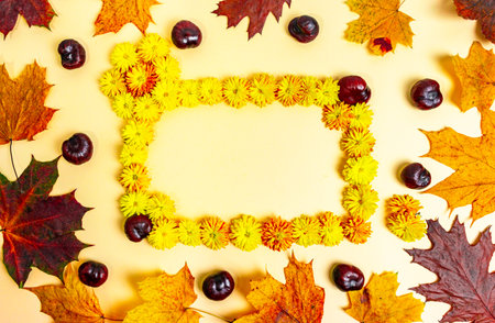 Rectangular frame made of yellow chrysanthemum flowers. Yellow and brown autumn leaves of maple and oak, as well as chestnuts on light yellow background. Fall concept. Template for textの写真素材