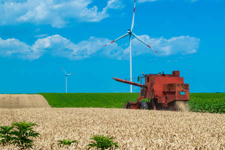 Harvester harvests ripe wheat on yellow rural field on a summer sunny day. Landscape of an endless agricultural field, blue sky and windmills or wind turbines. Wheat is a worldwide staple food.の写真素材