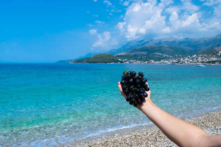 Woman's hand holds bunch of ripe black grapes on blue sea and sky background. Clear pebble Potam beach. Seaside vacation concept. Concept of summer holidays and seasonal fruits. Himare. Albania.の写真素材