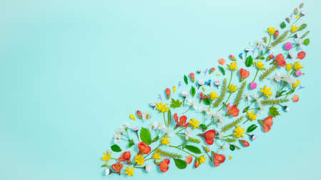spring concept. Flat lay composition of spring natural flowers, buds and young leaves on light blue background. Beautiful spring time card. copyspace.の写真素材