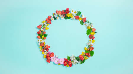 Circle from natural flowers, buds and young leaves on light blue background with copy space in center. Spring and summer concept. flat lay.の写真素材
