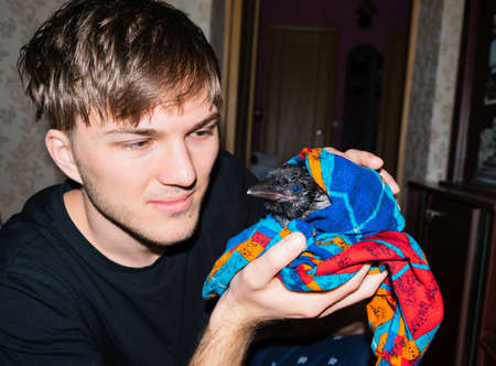 Young caucasian guy holds in his hands a wet crow cub wrapped in a cloth. The concept of pets and animal care. in home.の写真素材