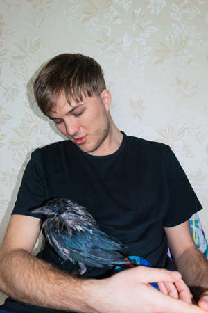 Wet cub of a gray crow sits in the hands of a young caucasian guy. The concept of pets and animal care. in home.の写真素材