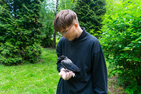 Gray crow cub sits on the arm of a young guy in a park against the backdrop of green trees. The concept of pets and animal care.の写真素材