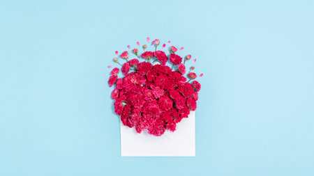 Flowers of red small roses in open white envelope. Concept of love, spring and femininity. blue background. flat lay. copyspace.の写真素材