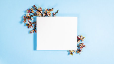 Spring cherry twigs with white flowers around a white paper on light blue background. Hello Spring. Template for text. Beautiful springtime coming concept. Copy space.の写真素材