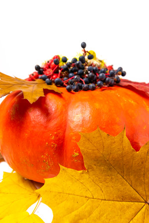 Large orange pumpkin decorated berries of blue wild decorative grapes, red rowan berries and autumn yellow maple leaves. White background with copy space. Fall concept. Flat lay.の写真素材