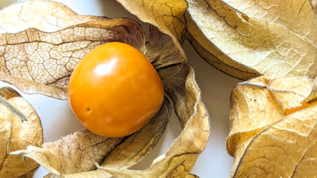 Ripe yellow physalis fruit berry or Physalis peruviana, edible physalis species. Small golden berries close up. Vegetarian food. Experience of a healthy lifestyle. White background.の写真素材