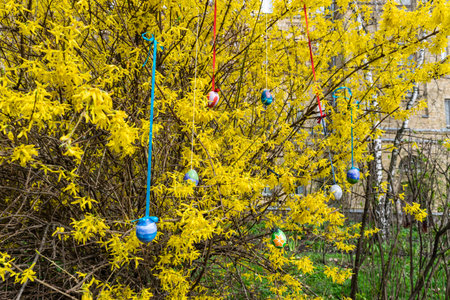 Painted Easter eggs decorate the branches of a bush blooming with yellow spring flowers. Springtime...
