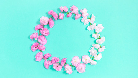 Round frame of natural, delicate, pink and white sakura flowers. Turquoise background. Beautiful frame with copy space in center. Greeting card template for mother's day, wedding, birthday or spring arrival.の写真素材