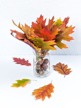 Bouquet of beautiful autumn leaves in a glass vase filled with acorns. Autumn card. White background. Copy space. Fall season of harvest and fruit.の写真素材
