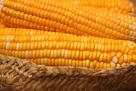Close up of corn