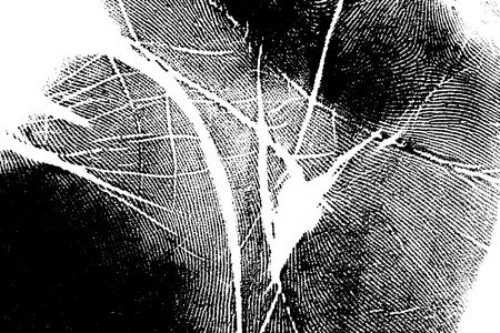 Printout of human hand with unique detailの写真素材