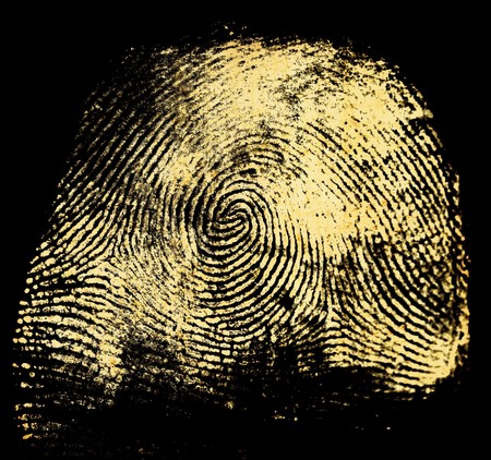 Printout of human fingerprint with unique detail の写真素材