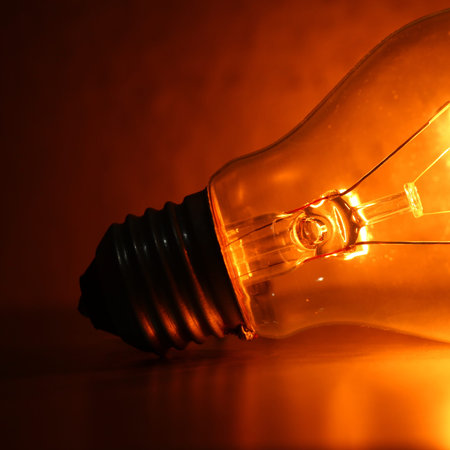 Close up of electric  tungsten bulb illuminating