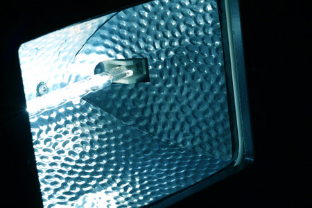 Close up of  Tungsten Bulbの写真素材