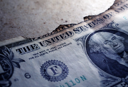 Close up of burnt dollar notes