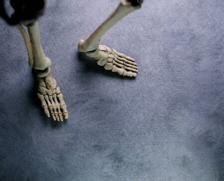 Miniature Human Skeleton Model Close Upの写真素材