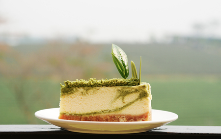 Green tea cheese cake with tea farm viewの写真素材