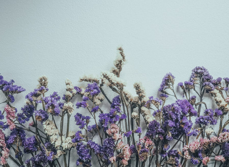 Blue, pink and whitie statice flowers with white background.の写真素材