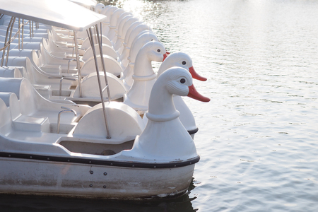 Many of duck pedal boats in the lake.の写真素材