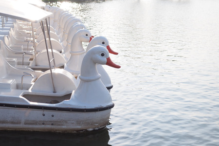 Many of duck pedal boats in the lake.の写真素材