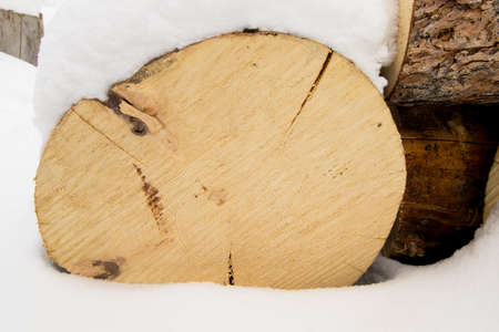 Pine log for winter firewoodの写真素材