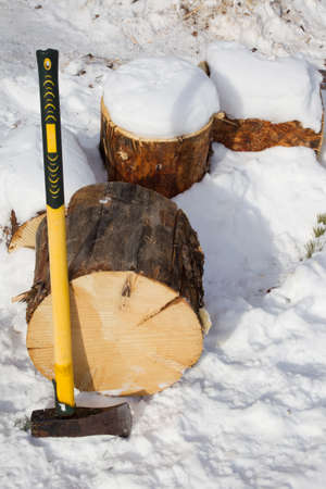 Pine log ready to be split with an axe for winter firewoodの写真素材