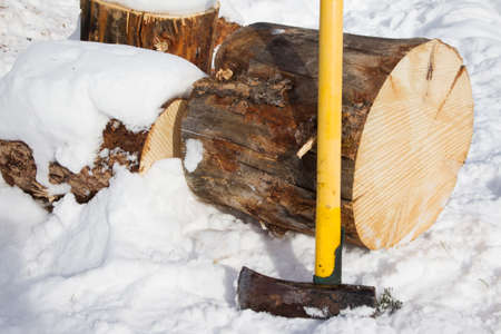 Pine log ready to be split with an axe for winter firewoodの写真素材