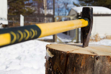 Splitting a pine log for winter firewood with an axeの写真素材