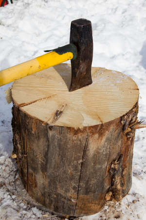 Splitting a pine log for winter firewood with an axeの写真素材