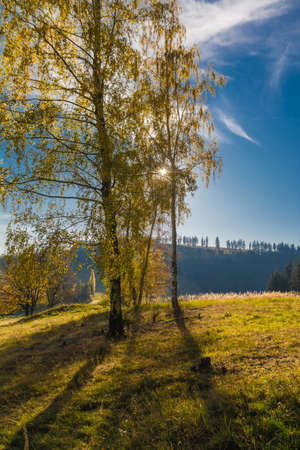 Natureの写真素材