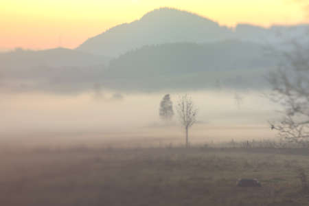 Natureの写真素材