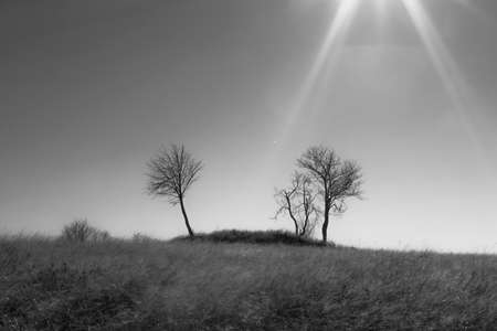 Natureの写真素材