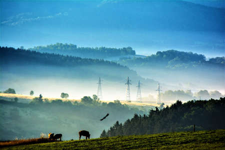 Natureの写真素材