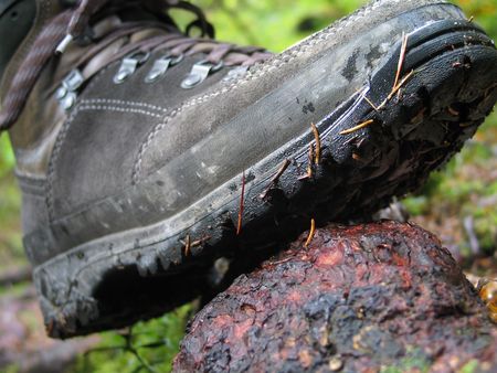 Wanderschuhの写真素材