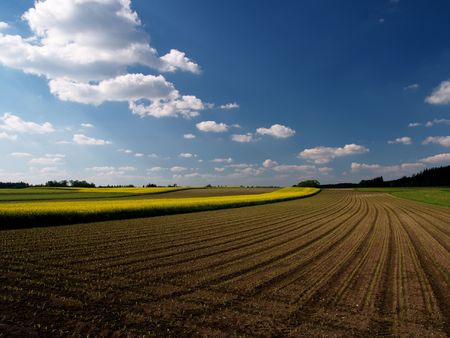 fields and meadowsの写真素材