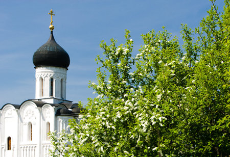 Church of the Intercession on the Nerl in the spring