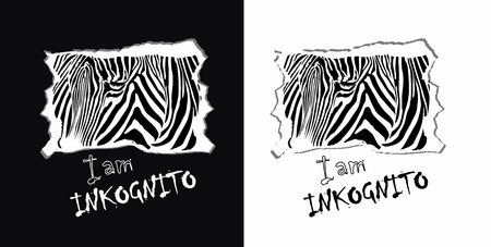 Zebra, t-shirt print illustration, I am inkognitoのイラスト素材