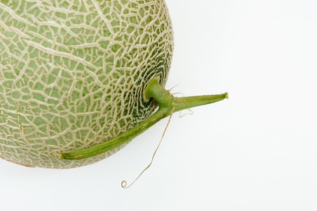 A isolated melon with white backgroundの写真素材