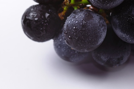 Grapesの写真素材