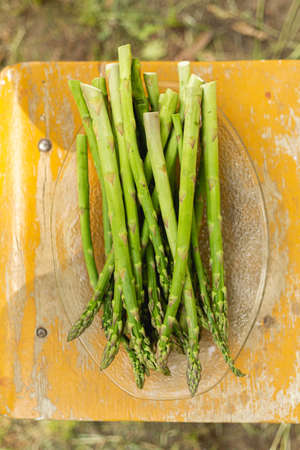 Green asparagus lying on glass plate. Top down perspective.の写真素材