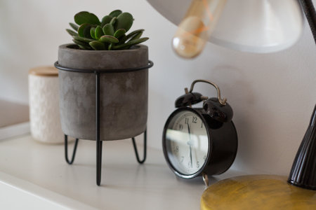 Small lucky tree, bonsai, in concrete flower pot, beautiful modern design, home decor, small retro black alarm clock and vintage lamp, bright space, interior decorations,の写真素材