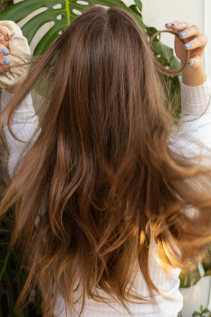 Natural blond long beautiful hair in movement view from the back, Caucasian woman making hairstyle with purple nails. Monstera plant in the background.の写真素材