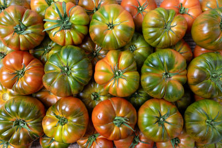 Delicious tomatoes in Summer tray market agriculture farm full of organic. Fresh tomatoes, It can be used as background.の写真素材
