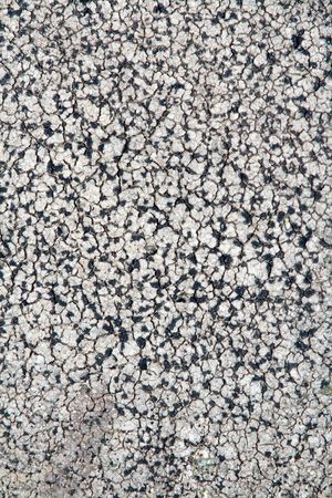 Rock textureの写真素材