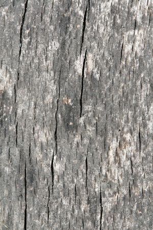 Wood textureの写真素材