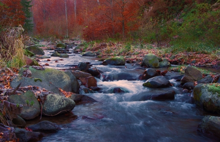 River in mountain forestの写真素材